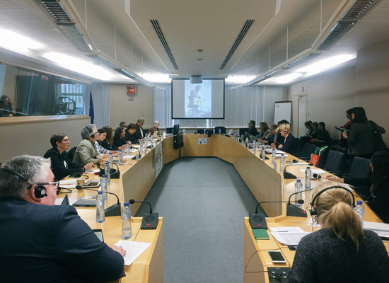 Representatives of PLENT participate at a European Parliament roundtable. Photo courtesy of PLENT.